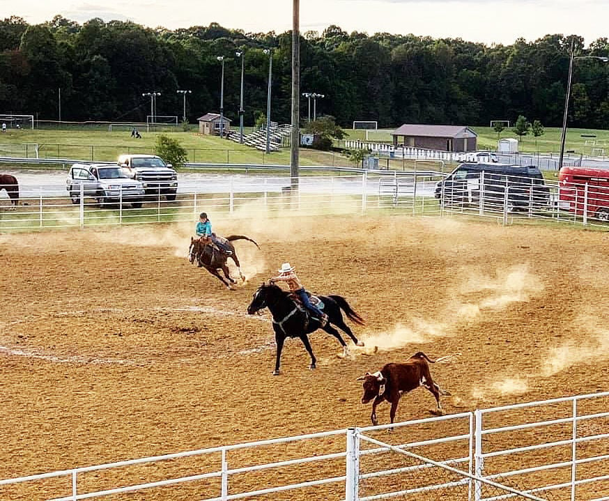 Working Cow Horse Show held at Lee S. Jones Park | News | timesleader.net