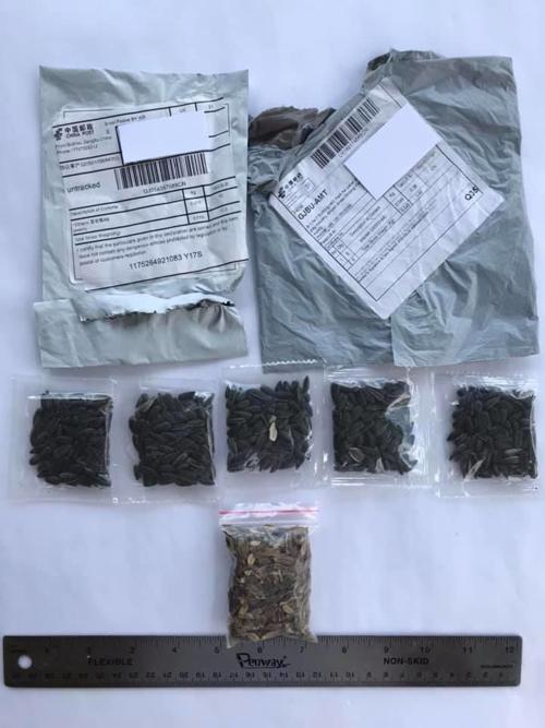 Use caution with unsolicited seeds