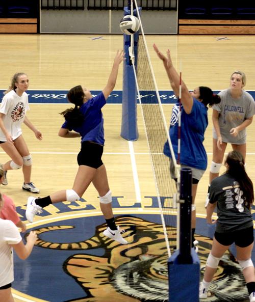 Volleyball prepares for Sept. 11 opener