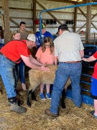 Local 4-Hers place in state livestock judging contest