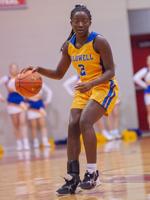 Lady Tigers drop contest on road at Trigg