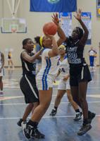 Lady Tigers snap losing skid with big win over Fort Campbell