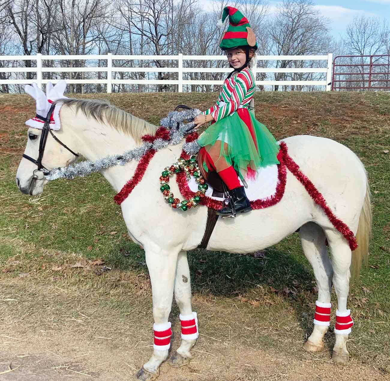 Horse clearance elf costume