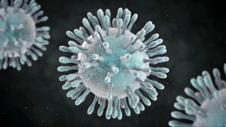Covid 19 Cases Rise In Appomattox County Updated May 1 News Timesvirginian Com