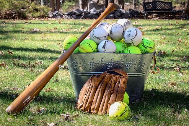 Final Appomattox Youth Sports baseball and softball signups on Thursday and  Saturday | Sports 