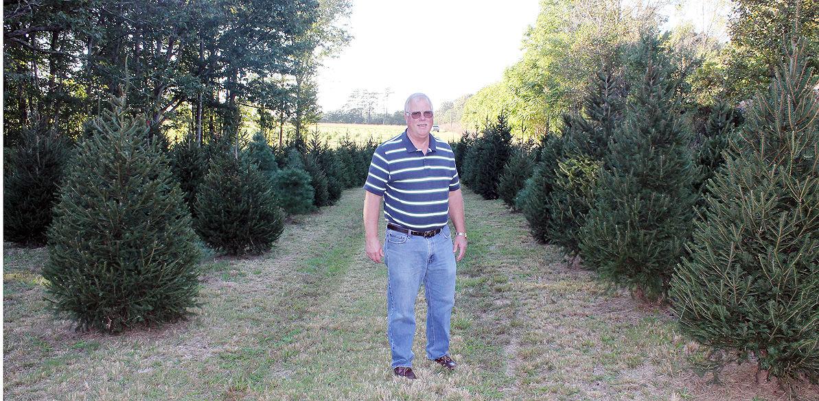Ex Sheriff Staples Starts Christmas Tree Farm News Timesvirginian Com