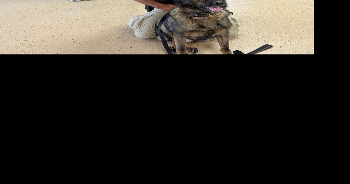 Barrackville raising funds to buy, train new K9 officer Local News