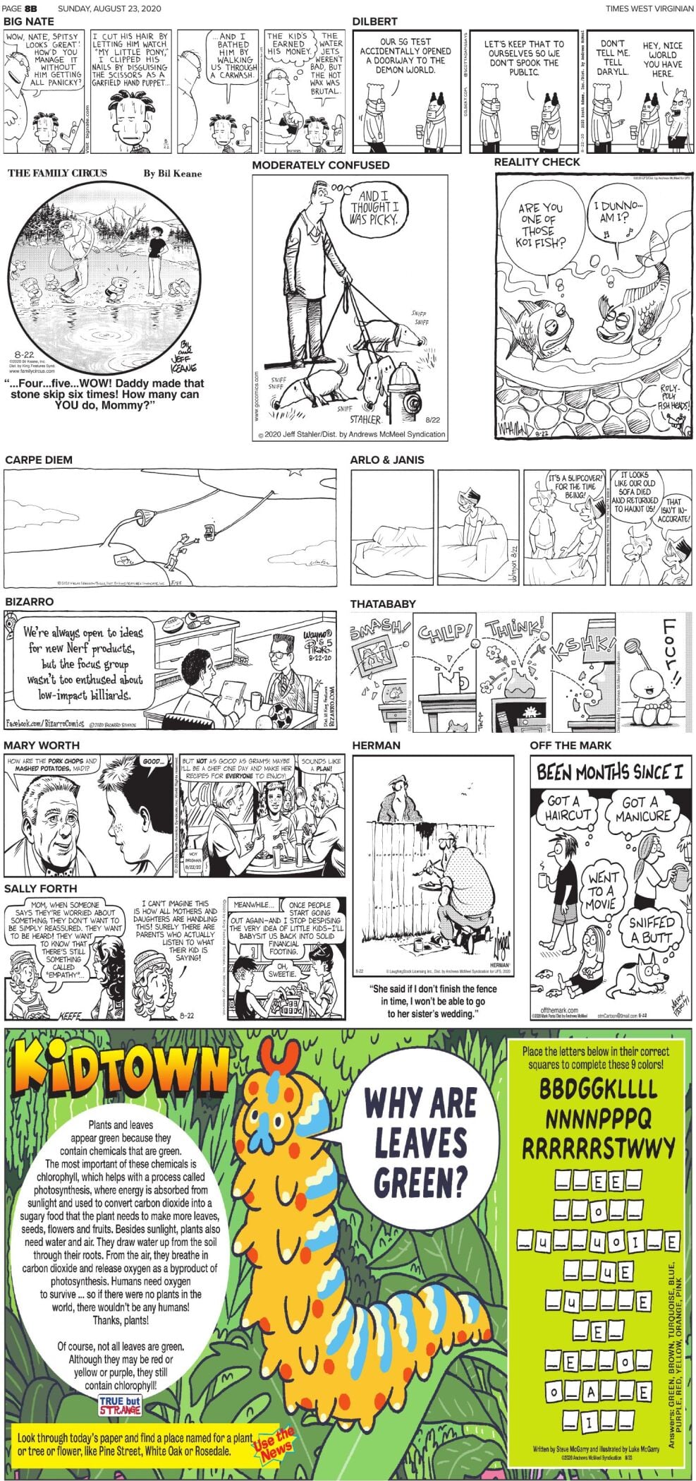 Sunday, Aug. 23, 2020 Comics and Puzzles | Daily Comics | timeswv.com