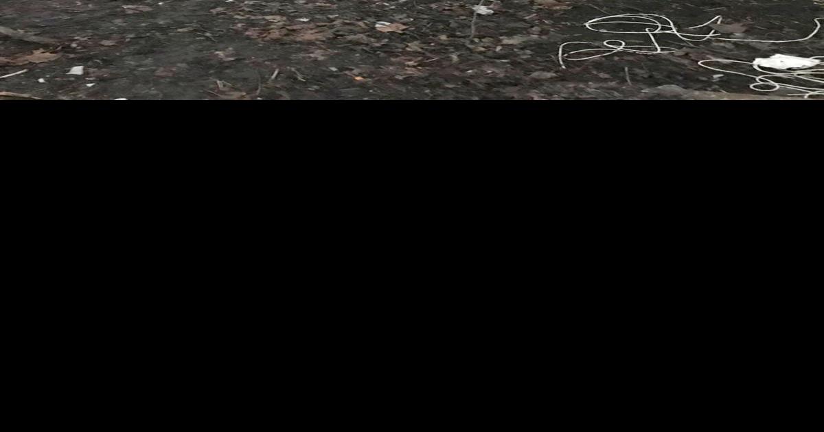 WV Coalition to End Homelessness uncovers health and wellness issues in