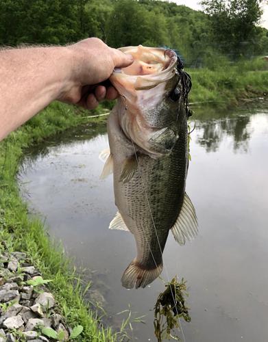 OUTDOORS COLUMN: There is nothing like relaxing with a little pond fishing, Sports