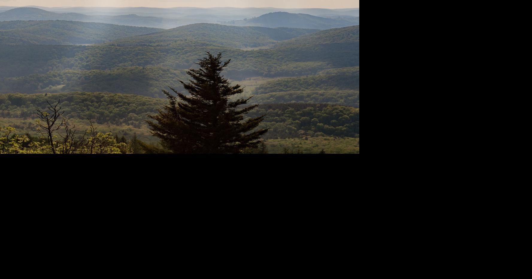 WVU study links support for rural women entrepr…