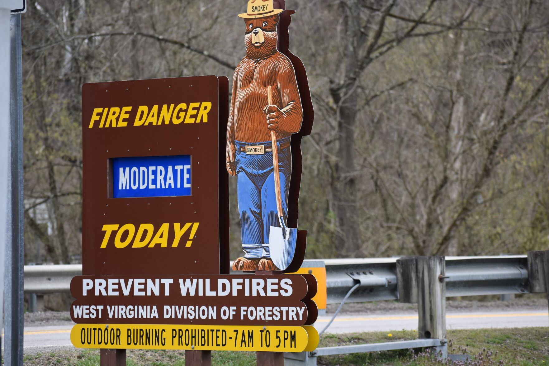 Spring wildfires keeping firefighters, forestry officials busy - Vimarsana News