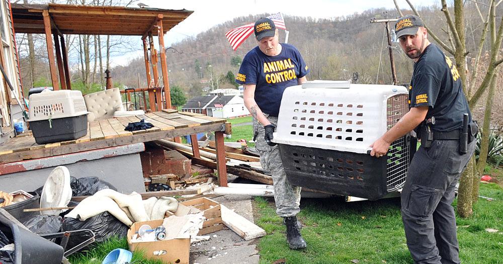 Marion County man faces animal cruelty charges after one dog found dead ...