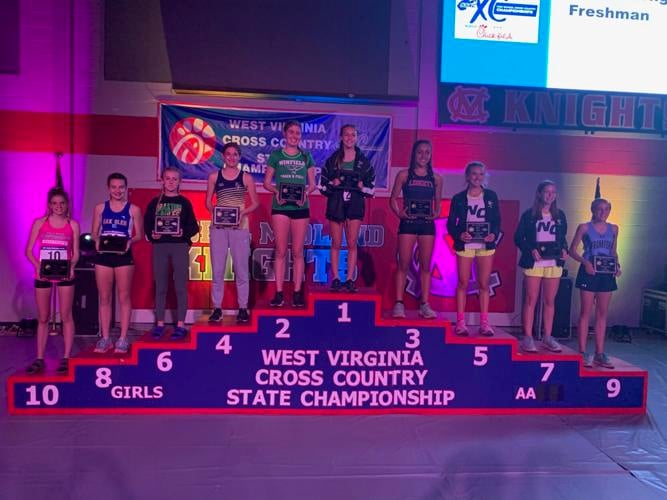 Polar Bears, Bees, Huskies finish strong at state cross country meet