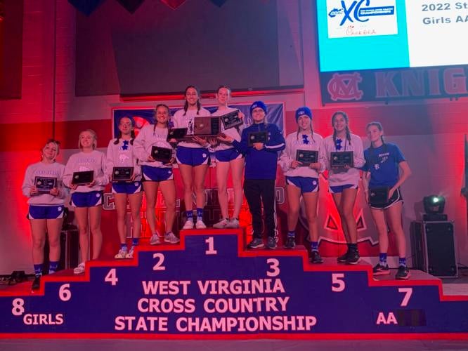 Polar Bears, Bees, Huskies finish strong at state cross country meet