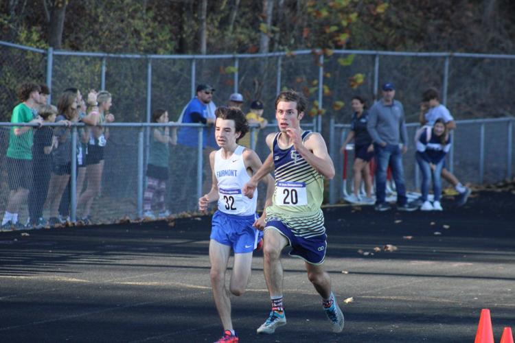 Polar Bears, Bees, Huskies finish strong at state cross country meet
