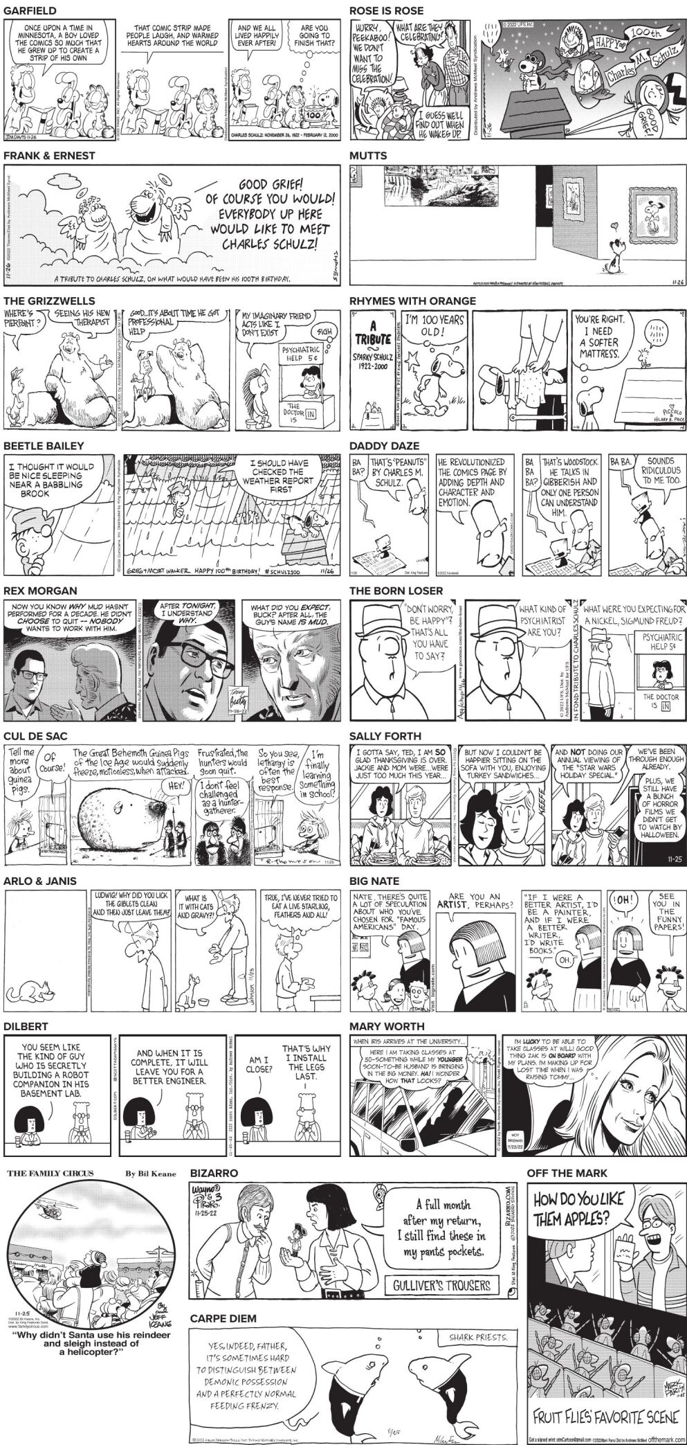 Saturday, November 26, 2022 Comics and Puzzles Daily Comics