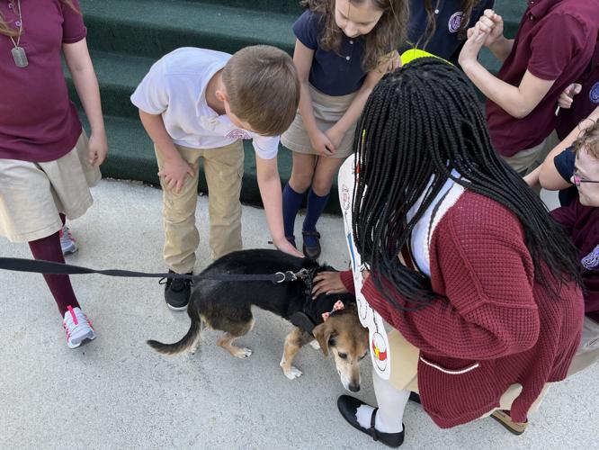 Reading event at Fairmont Catholic School raises awareness about animal