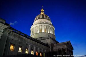 Team tasked with reviewing WV child deaths notes number of child suicides in initial report