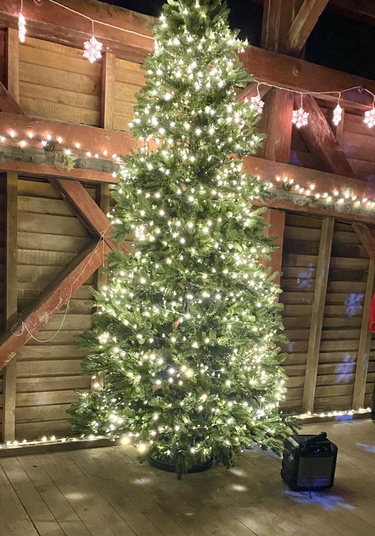 Christmas tree was front and center for Barrackville's covered bridge lighting