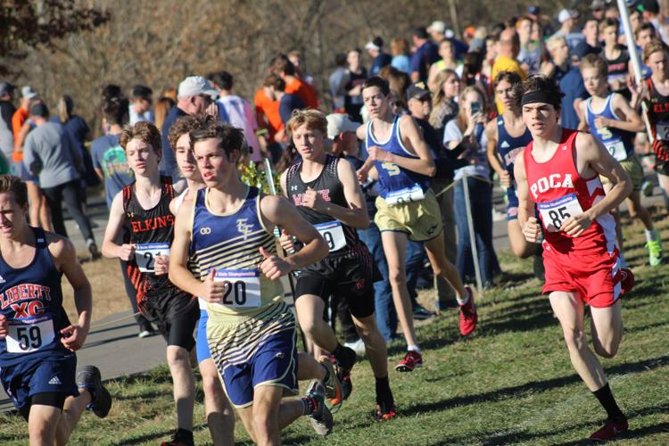 Polar Bears, Bees, Huskies finish strong at state cross country meet