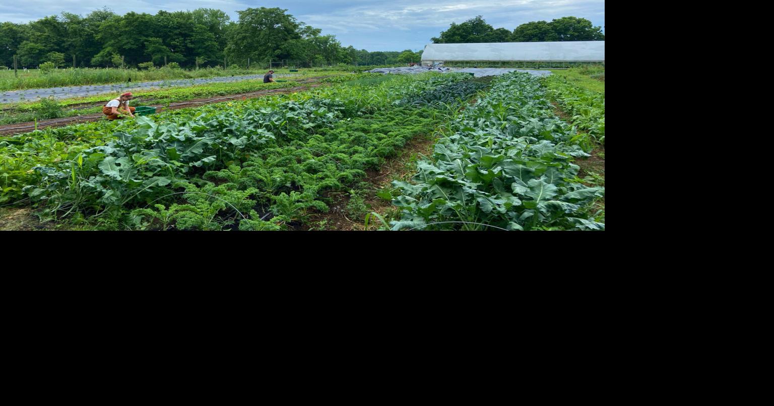 New program aims to encourage farming in West Virginia’s Eastern ...