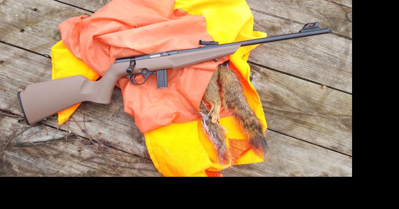 COLUMN: It's squirrel time