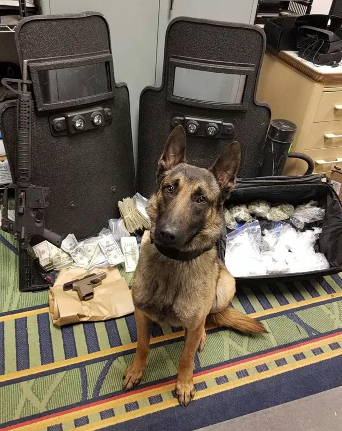 Nearly 2,000 grams of meth, other drugs seized in Fairmont drug bust