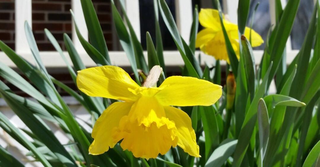 Springtime letters to the Outdoor Writer