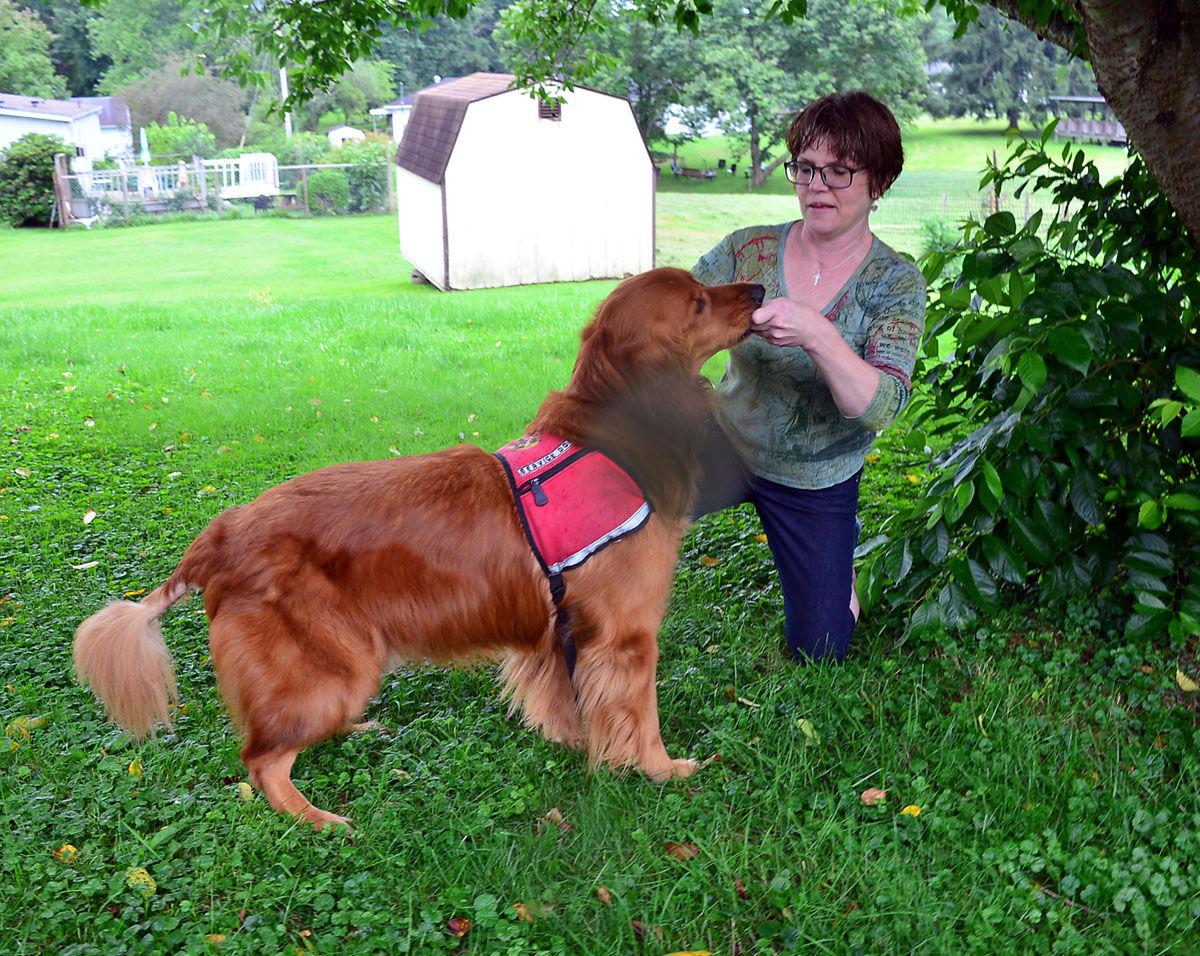What Is A Legal Service Dog In Wv What Is A Legal Service Dog In Wv