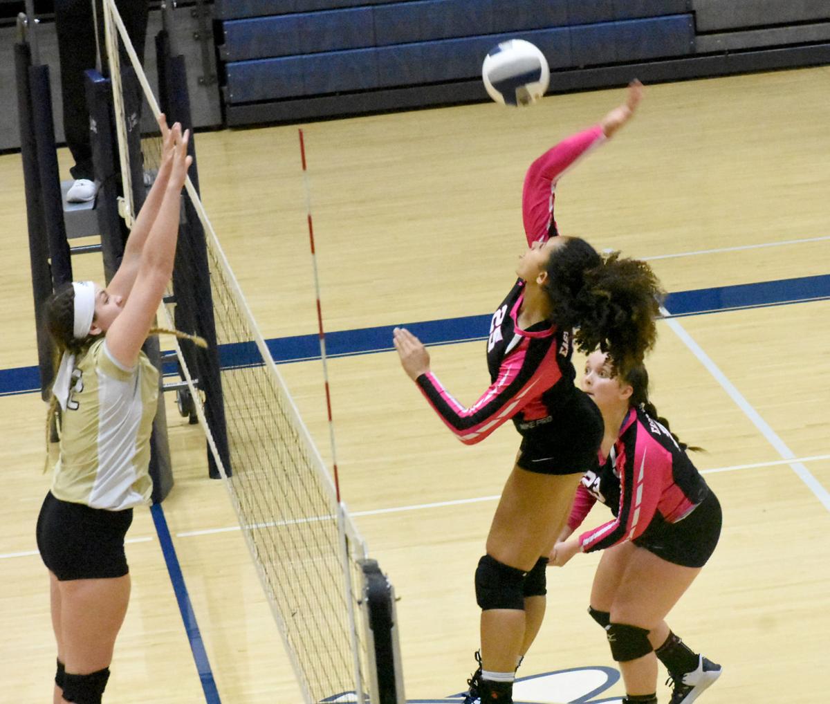 Bees volleyball beat Cougars Photos Sports