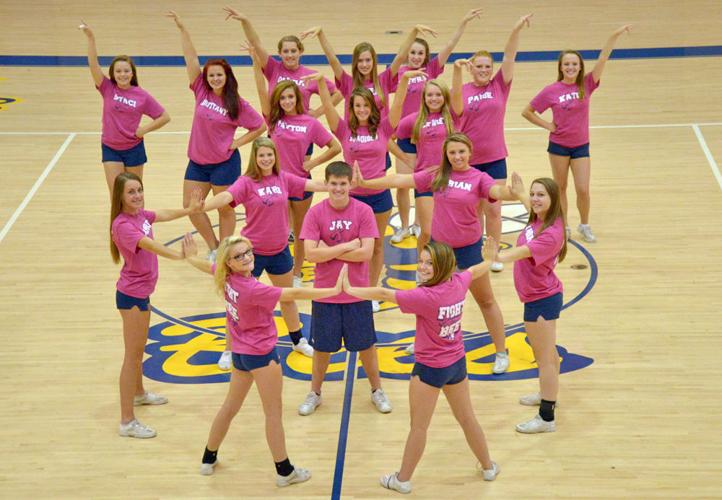 Awareness Pink Cheer Poms – The Future Fan