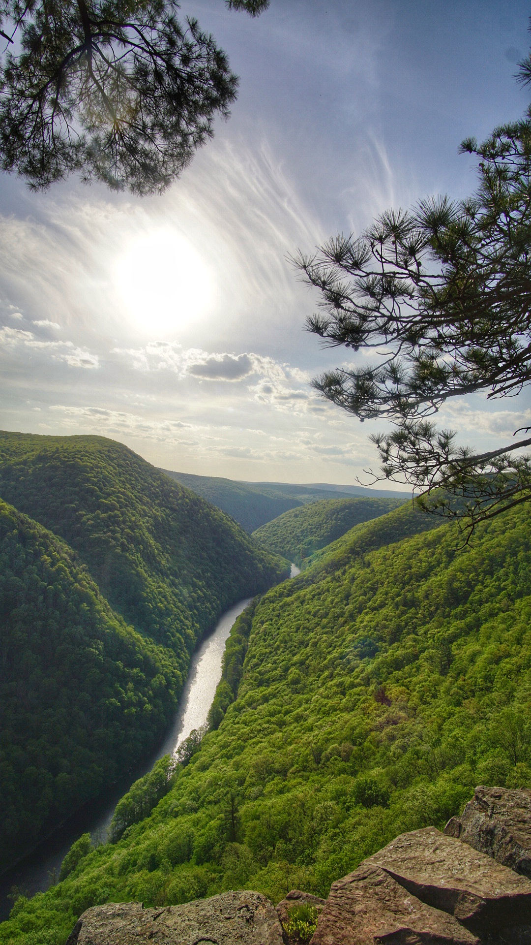 Canyon scene
