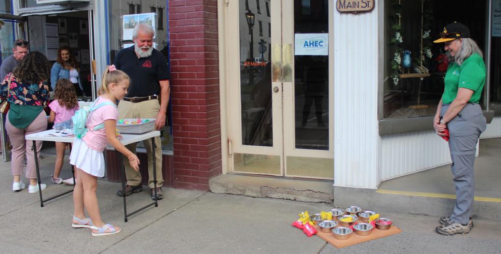 Wellsboro launches 2024 First Friday events Community