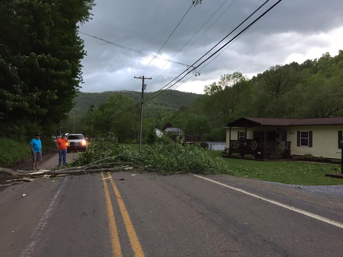 Heavy winds down trees, power