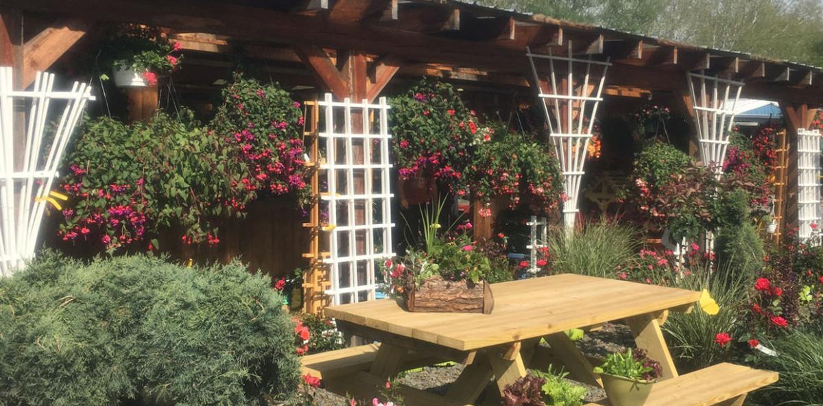 Spring dwelling gardening will be rewarding expertise | Free Press-Courier