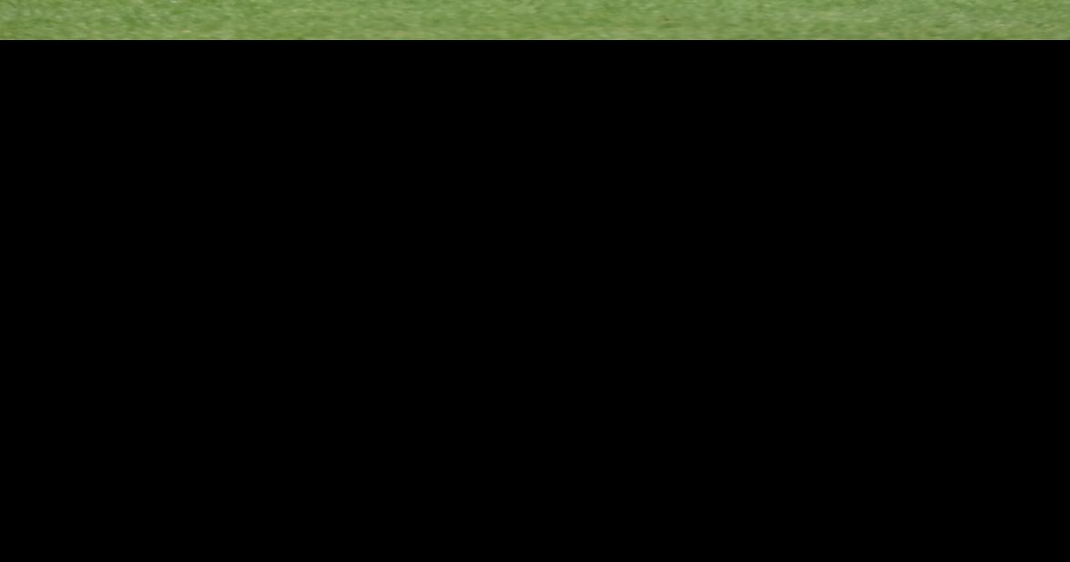 Little League Roundup Southern Tioga falls to Blue Ridge The