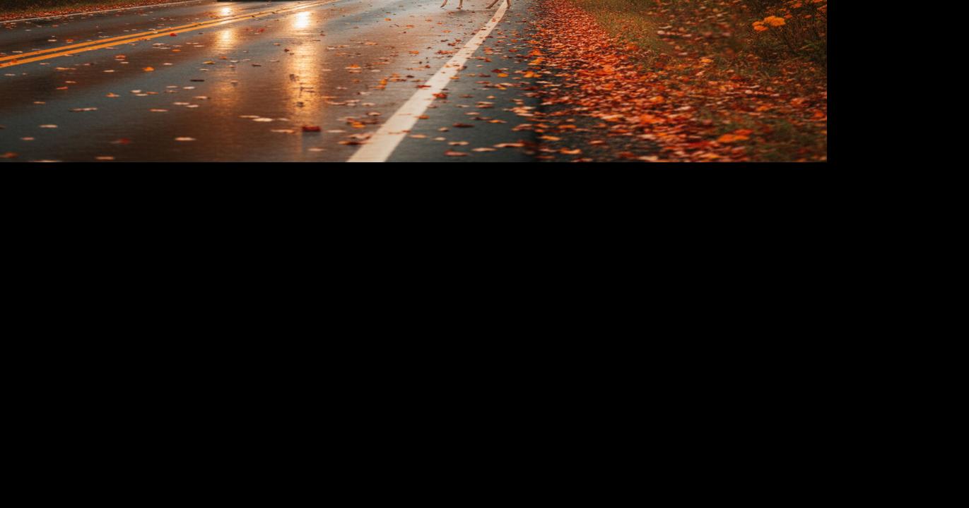 In the rut; fall driving in rural Pennsylvania