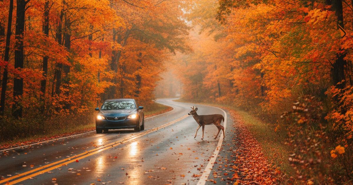 In the rut; fall driving in rural Pennsylvania
