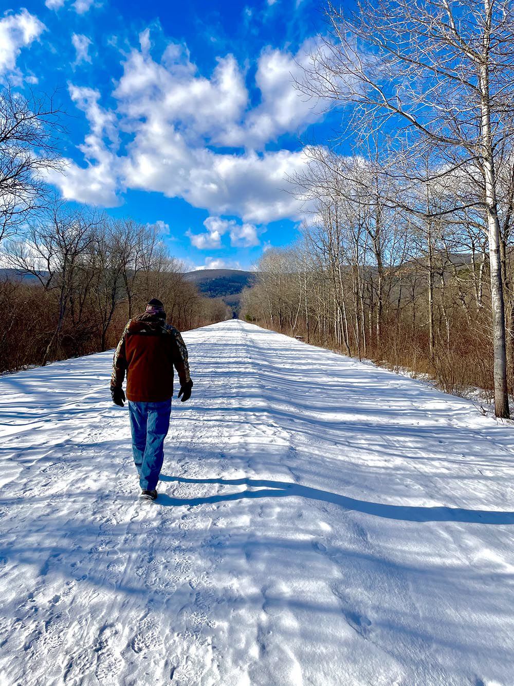 Perfect day for a walk