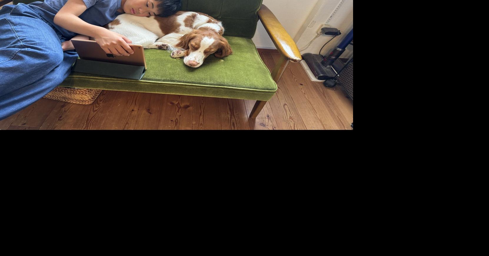 Dogs boost teens’ mental health by changing this in their bodies