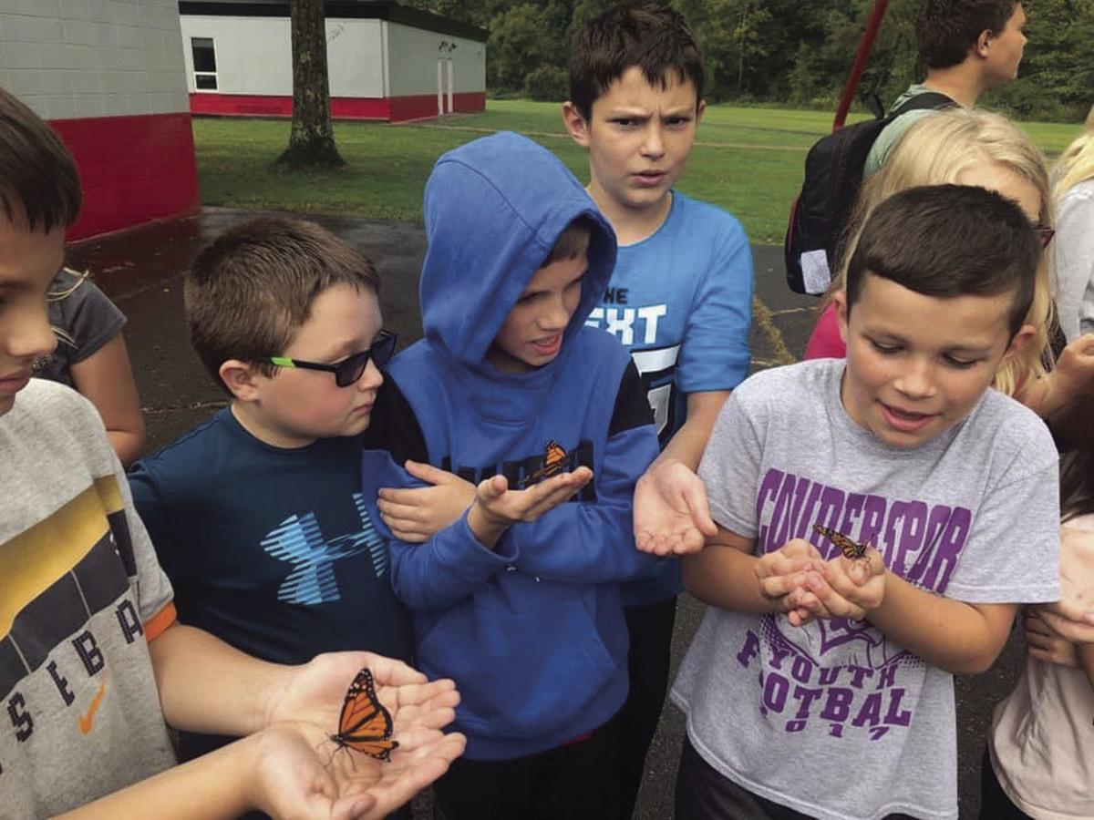 Austin kindergarten class releases butterflies