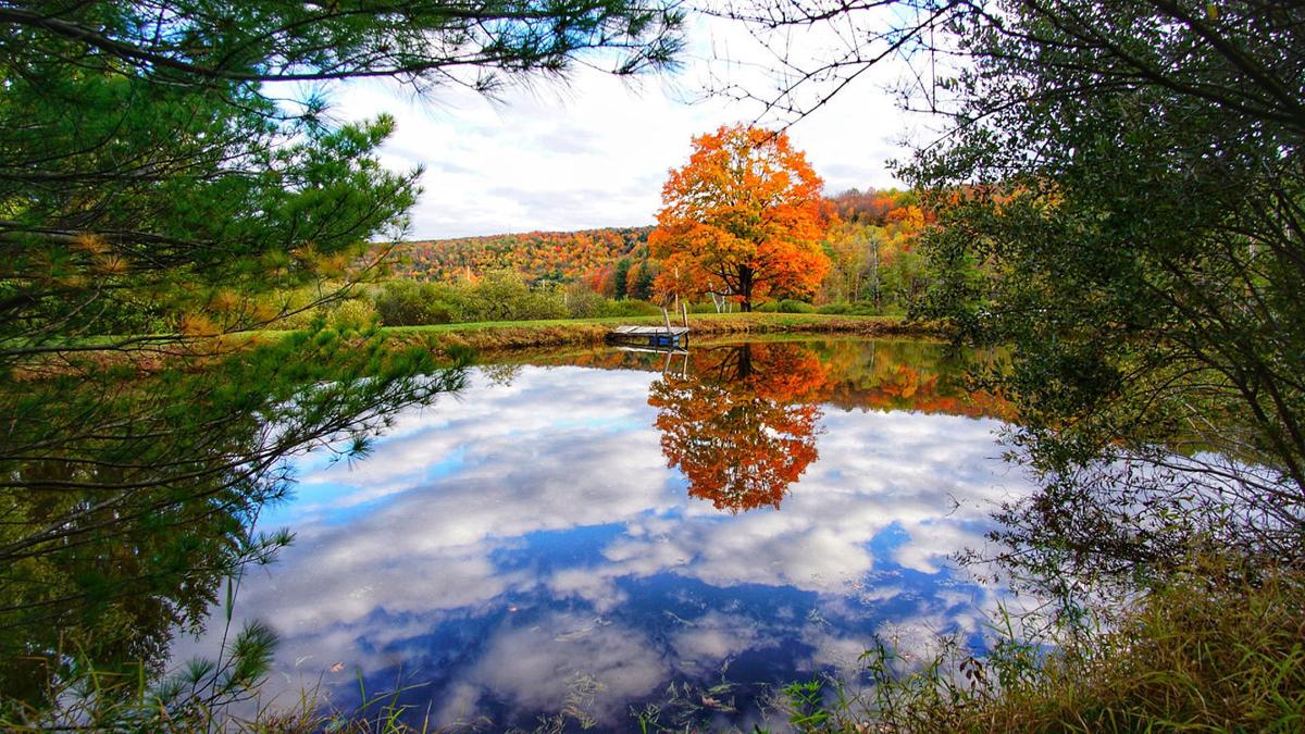 Fall reflections