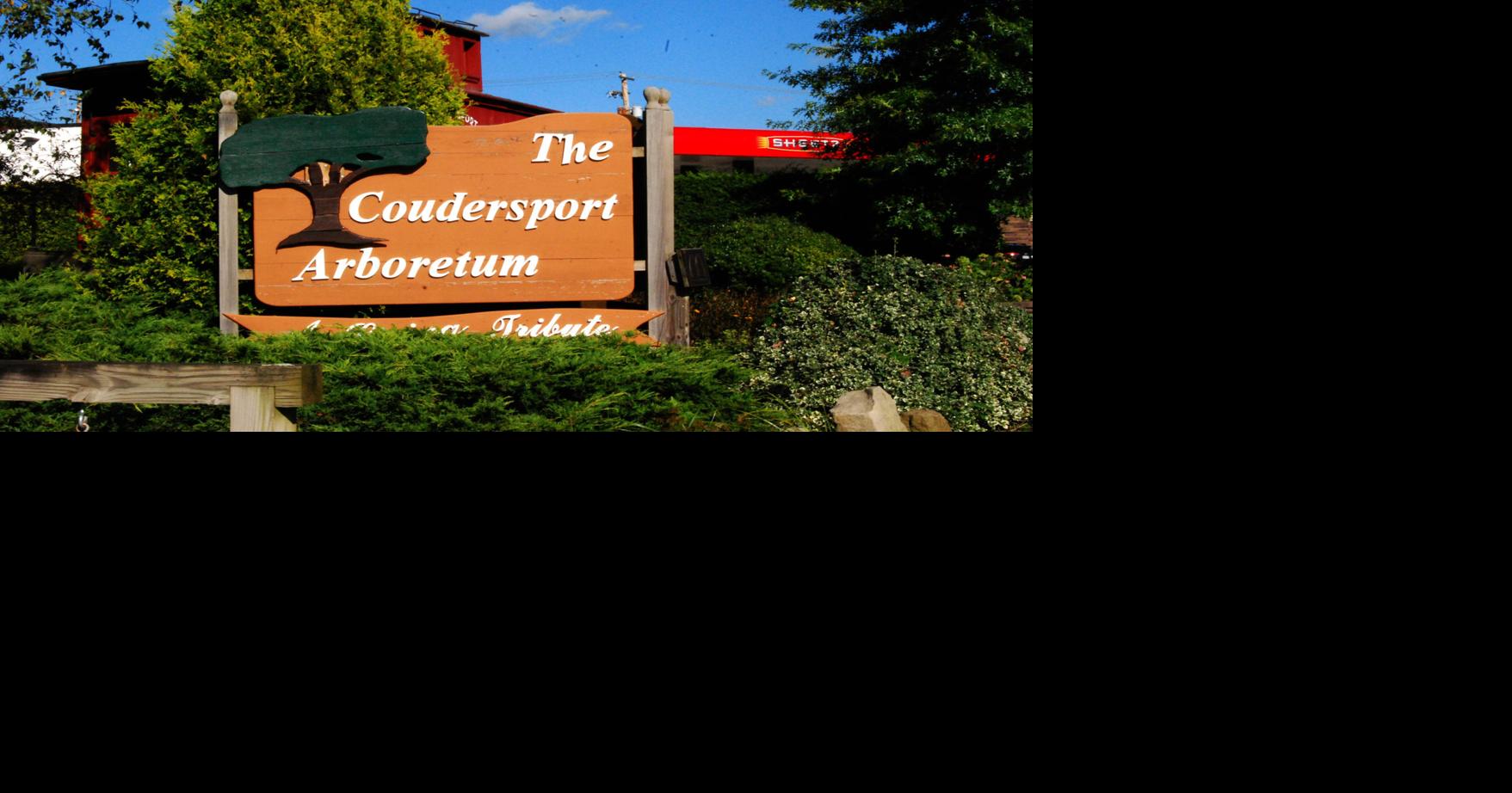 Coudersport borough council talks budget, arboretum, medical marijuana