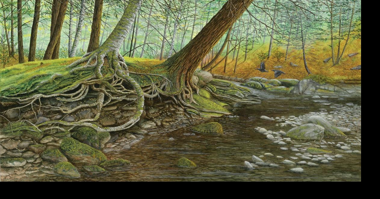 Couple's work features nature, realism in photos, art | Community ...