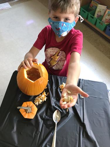 Students do deep pumpkin dive