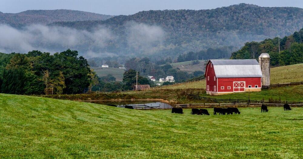 Pennsylvania Ranks 15th Nationally in Family-Owned Farm Share
