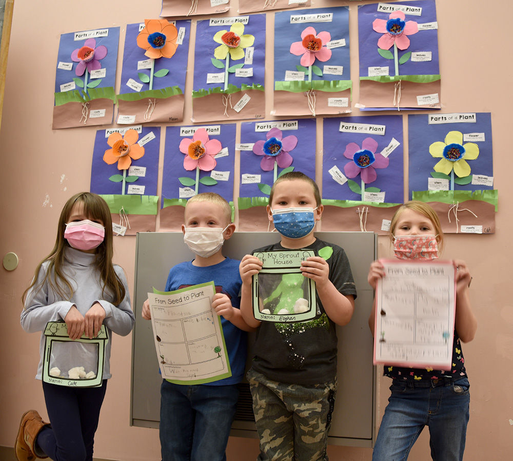 Students study plants