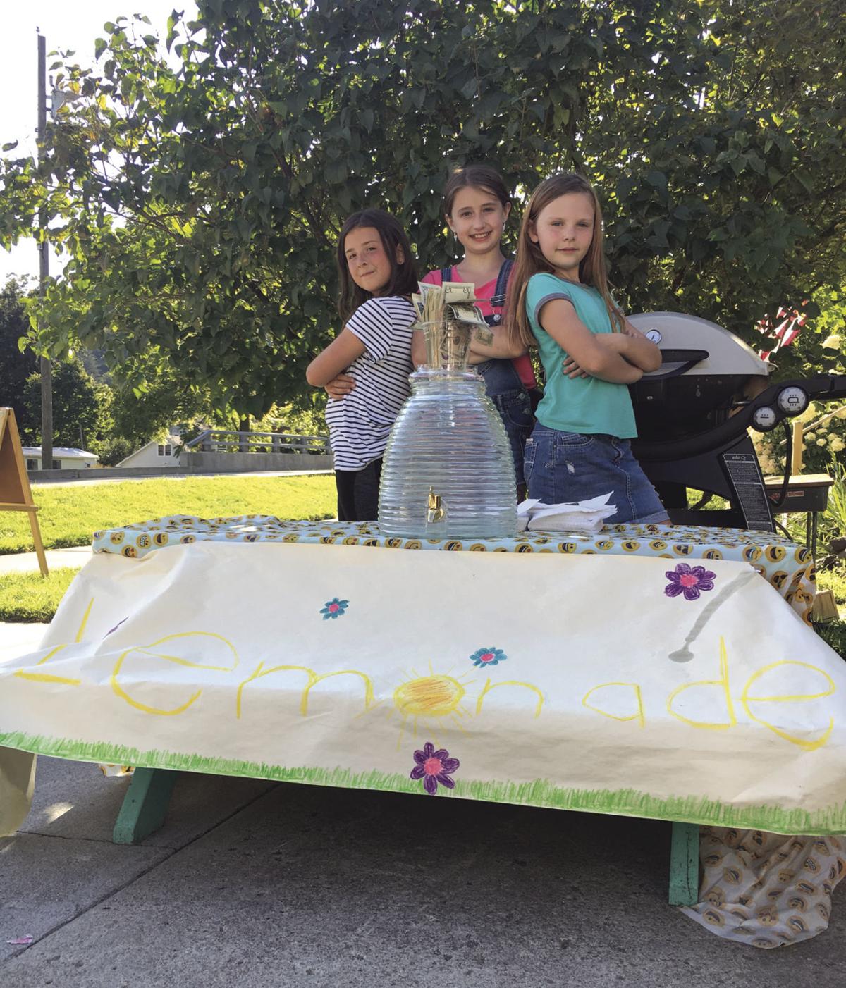 Lemonade stand raises $107 for Volunteers That Care