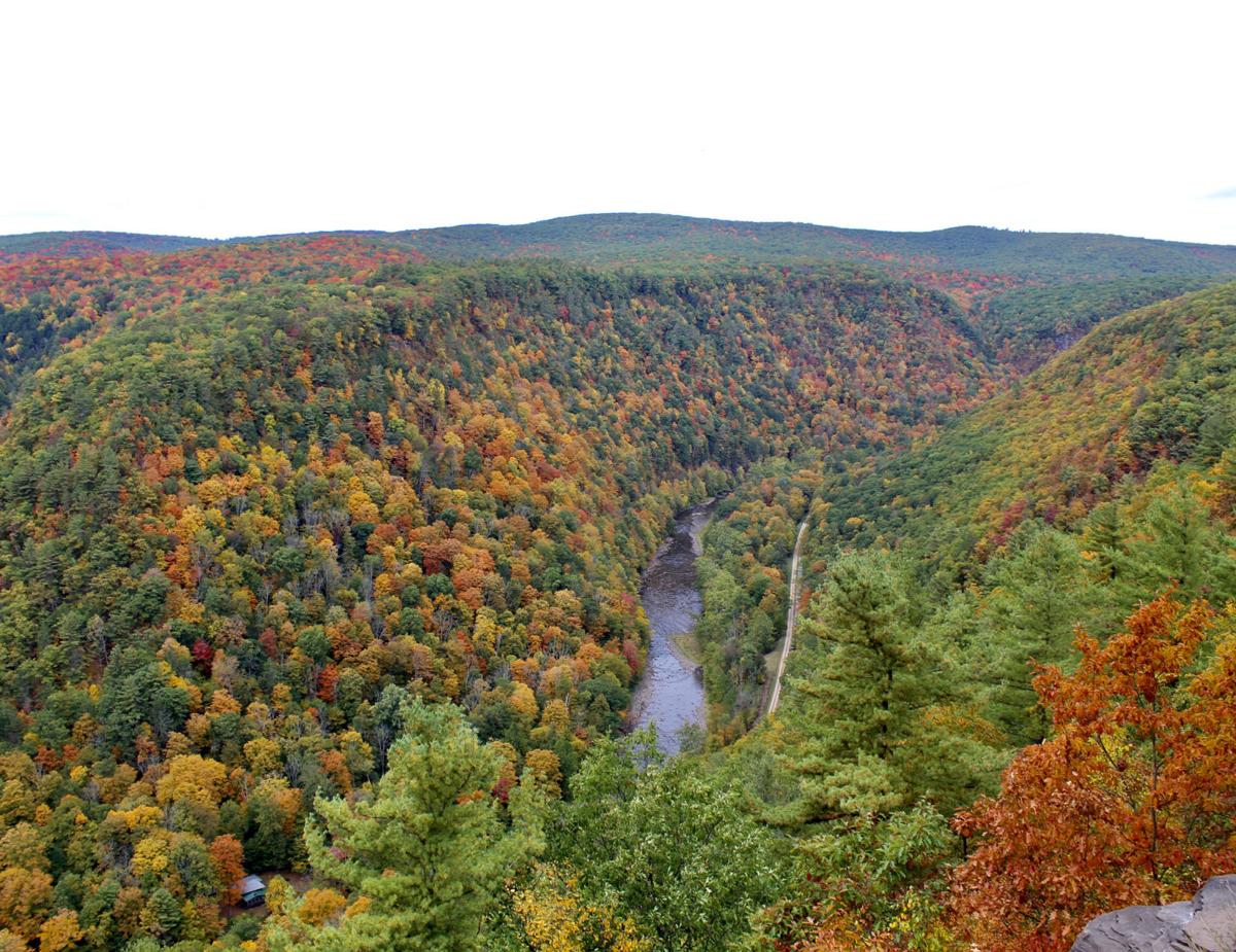 Gorge-ous